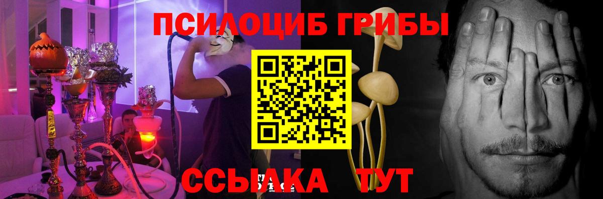 Псилоцибиновые грибы Psilocybe  Вход с VPN  Псилоцибиновые грибы Psilocybe  Калач-на-Дону 
